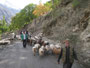 Pakistan. Das Hunzaland. Fahrt von Karimabad nach Hopar. 