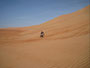 Oman. In der Sandwüste Wahiba Sands. Die feinsandigen Dünen der Wahiba Sands reichen von der Grenze zu Saudi-Arabien bis an den Indischen Ozean.