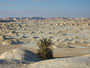 Ägypten. Westliche Wüste. Die weiße Wüste mit ihren bizarren Kalksteinskulpturen bietet ein einmaliges Naturschauspiel.