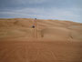 Oman. Fahrt in die Sandwüste Wahiba Sands. 