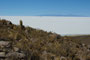 Bolivien. Im Südwesten Boliviens, auf mehr als 3600 Metern Höhe, liegt der Salar de Uyuni, der größte Salzsee unserer Erde. Über 140 km lang und 110 km breit erstreckt sich dieses weiße Wunder der Natur mit seiner fast 10 m dicken Salzkruste.