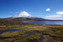 Chile. Im Lauca-Nationalpark. Der Lago Chungara´ liegt auf 4.500 m Höhe und ist somit einer der höchstgelegenen Seen unserer Erde. Dahinter erhebt sich majestätisch bis auf 6348 m Höhe der Vulkan Parinacota.