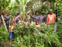 Papua Neuguinea. Provinz Eastern Highlands. Am Berg Mt.Gurupoka. 