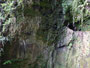 Madeira. Wanderung entlang der Levada da Janela.