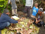 Papua Neuguinea. Provinz Eastern Highlands. Das Dorf Asoro. Das Mittagessen gibt es traditionell aus dem Erdofen. Hier wird Gemüse und Fleisch unter Bananenblättern gegart.