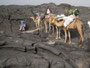 Expedition Danakil-Wüste. Trekking durch die Danakil-Wüste bei über 50°C im nicht vorhandenen Schatten. Die Überquerung des Lavafeldes des Erta Ale-Vulkans ist durch die scharfkantige heiße Lava besonders anstrengend und gefährlich.
