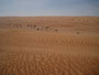 Oman. In der Sandwüste Wahiba Sands. Die feinsandigen Dünen der Wahiba Sands reichen von der Grenze zu Saudi-Arabien bis an den Indischen Ozean.