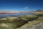Bolivien. Die Laguna Colorada liegt auf 4.300 m Höhe und ist wegen der auffälligen roten Farbe einzigartig. Die Rotfärbung entsteht durch Mineralien und eine ganz besondere Algenart.