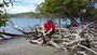 Karibikinsel Martinique. Auf der Halbinsel Caravelle wachsen üppige Mangrovenwälder. Eine Wandertour durch das Naturreservat lohnt sich zu jeder Jahreszeit.