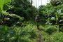 Vanuatu. Nach wenigen Kilometern ist die Piste zu Ende. Ab hier heißt es weiter auf Schusters Rappen. Dabei kann man die beeindruckende Natur am besten genießen.