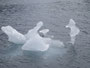 Grönland. Eisskulptur.