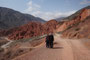Argentinien. Das Dorf Pumamarca. Hinter dem Dorf liegt der Cerro de los Siete Colores, der "Berg der sieben Farben". Die verschiedenen Farbschattierungen entstehen durch die hohe Konzentration unterschiedlichster Mineralien in den Gesteinen.