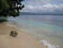 Papua Neuguinea. Provinz East New Britain. Die Bismarck See ist eines der besten Tauch- und Schnorchelreviere weltweit.