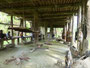 Papua Neuguinea. Provinz East Sepik. Dorfbesuch am Sepik-Fluss. Die Langhäuser sind die Geisterhäuser am Sepik. Im Inneren verbergen sich mystische Schnitzereien und heilige Gegenstände. Hier nehmen die Männer des Clans Kontakt mit ihren Vorfahren auf.