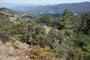 Mexico. Wanderung auf etwa 3.000 m Höhe in der Sierra de Oaxaca. 