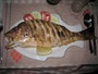 Myanmar. Ngapali Beach liegt fast unberührt an der Westküste von Myanmar direkt am Golf von Bengalen. Abendessen am Strand.