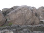 Pakistan. Uralte Felszeichnungen der über 3.000 Jahre alten Indus-Kultur findet man an vielen Felsen entlang des Karakorum Highway.