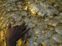 Myanmar. In der Stadt Mandalay. Besuch der Mahamyat Muni Pagode. Im Zentrum des Tempels thront der goldbeladene Mahamuni-Buddha. Er ist das Nationalheiligtum der Einheimischen. Bisher wurden von den Pilgern etwa 225 kg Blattgold an den Budhha geklebt.