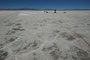 Argentinien. Die Salinas Grandes, die "grossen Salzseen" liegen im Grenzgebiet der Provinzen Salta und Jujuy in einem Hochtal auf etwa 3.450 m Höhe. Die Salzschicht ist ca. 30 cm stark.