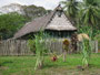 Papua Neuguinea. Provinz East Sepik. Dorfbesuch am Sepik-Fluss. Das Haus des Clanführers.