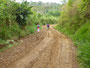 Papua Neuguinea. Provinz Eastern Highlands. Am Berg Mt.Gurupoka. 
