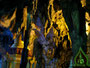 Myanmar. Die Stadt Pindaya. Hier befindet sich die Shwe-Umin-Höhle. Diese Tropfsteinhöhle wird als buddhistisches Heiligtum hochverehrt. Im Inneren befinden sich über 8.000 Buddha-Statuen.