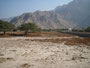 Oman. Auf der Fahrt nach Dibba. Muslimischer Friedhof. 