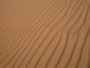 Oman. In der Sandwüste Wahiba Sands. Die feinsandigen Dünen der Wahiba Sands reichen von der Grenze zu Saudi-Arabien bis an den Indischen Ozean.