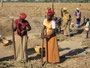 Mali. Frauen bei der Hirseernte.