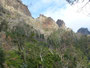 Madeira. Wanderung nach Boca da Corrida.