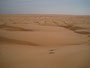Oman. In der Sandwüste Wahiba Sands. Die feinsandigen Dünen der Wahiba Sands reichen von der Grenze zu Saudi-Arabien bis an den Indischen Ozean.