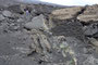 Süditalien. Sizilien. Der Ätna ist mit einer Höhe von ca. 3.350 m Europas mächtigster Vulkan. Das Valle del Bove ist eine gigantische Einsturzflanke am Südhang. Beim Überqueren des riesigen Lavafeldes ist man fasziniert von der Urgewalt der Natur.