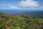 Karibikinsel Martinique. Geschafft. Der phantastische Ausblick vom Gipfel des Mont Pelé entschädigt für den mühevollen Aufstieg.
