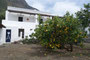 Süditalien. Insel Stromboli. Im Dorf Ginostra beginnt ein naturbelassener und wenig begangener Pfad zum Gipfel des Stromboli. Für die fast 1000 Höhenmeter benötigt man etwa 3-4 Stunden. 