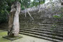Mexico. Calakmul war zur Blütezeit eine Megastadt. Nur im Stadtzentrum lebten etwa 70.000 Menschen. Versteckt im Dschungel gelegen, finden heute nur etwa 50 Besucher pro Tag den Weg hierher. Ein echter Geheimtipp und ein besonders intensives Erlebnis.