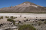 Bolivien. Das landschaftlich einmalige Lagunengebiet auf über 4.000 m Höhe.