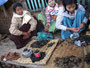 Myanmar. Die Stadt Sittwe. Marktbesuch. Diese schwarzen Käfer sind hier eine Delikatesse.