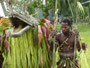 Papua Neuguinea. Provinz East Sepik. Besuch im Dorf Kambaramba. Hier wird von den Stämmen der Krokodilkult gepflegt. So bleiben die Menschen mit ihren Ahnen in Kontakt. Die Verstorbenen werden, dem Glauben nach, als Krokodil wiedergeboren. 