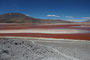 Bolivien. Die Laguna Colorada liegt auf 4.300 m Höhe und ist wegen der auffälligen roten Farbe einzigartig. Die Rotfärbung entsteht durch Mineralien und eine ganz besondere Algenart.