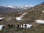 Grönland. Wanderung vom Hausberg zurück nach Tasiilaq.