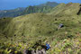 Karibikinsel Martinique. Der Mont Pelé ist mit 1397 m der höchste Berg von Martinique. Die Wanderung auf den Gipfel des Vulkans dauert ca. 6 Stunden und ist aufgrund des steilen und unwegsamen Geländes äußerst anspruchsvoll.