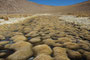 Bolivien. Das landschaftlich einmalige Lagunengebiet auf über 4.000 m Höhe. Die Yareta ist eine holzähnliche immergrüne Pflanze, sehr hart, mit extrem langsamen Wachstum. Diese moosähnliche Pflanze kann bis zu 3.000 Jahre alt werden.