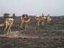 Expedition Danakil-Wüste. Trekking durch die Danakil-Wüste bei über 50°C im nicht vorhandenen Schatten. Die Überquerung des Lavafeldes des Erta Ale-Vulkans ist durch die scharfkantige heiße Lava besonders anstrengend und gefährlich.