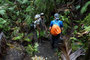 Vanuatu. Nach wenigen Kilometern ist die Piste zu Ende. Ab hier heißt es weiter auf Schusters Rappen. Dabei kann man die beeindruckende Natur am besten genießen.