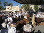 Oman. Auf dem großen Viehmarkt der Stadt Nizwa.