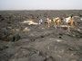 Expedition Danakil-Wüste. Trekking durch die Danakil-Wüste bei über 50°C im nicht vorhandenen Schatten. Die Überquerung des Lavafeldes des Erta Ale-Vulkans ist durch die scharfkantige heiße Lava besonders anstrengend und gefährlich.