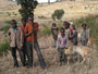 Expedition Danakil-Wüste. Fahrt nach Harar. Hier im Hochland ist die Heimat der Oromo. Sie leben vor allem vom Hirseanbau und der Viehzucht.