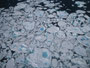 Grönland. Hubschrauberflug von Tasiilaq nach Kulusuk über das Eismeer.