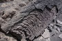 Süditalien. Sizilien. Der Ätna ist mit einer Höhe von ca. 3.350 m Europas mächtigster Vulkan. Das Valle del Bove ist eine gigantische Einsturzflanke am Südhang. Beim Überqueren des riesigen Lavafeldes ist man fasziniert von der Urgewalt der Natur.