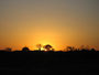 Mali. Das Dogonland. Sonnenuntergang.